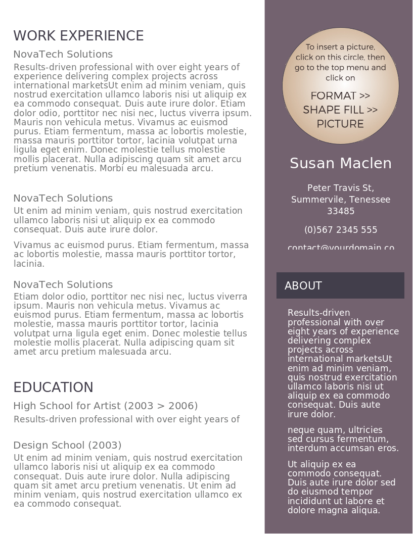 The Sophisticated Candidate CV preview